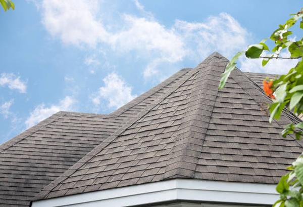 Top-Rated Roofing Companies Near You: Expert Services at Your Doorstep