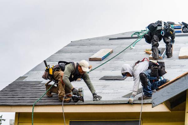 Signs You Need a Roofing Contractor for Repairs