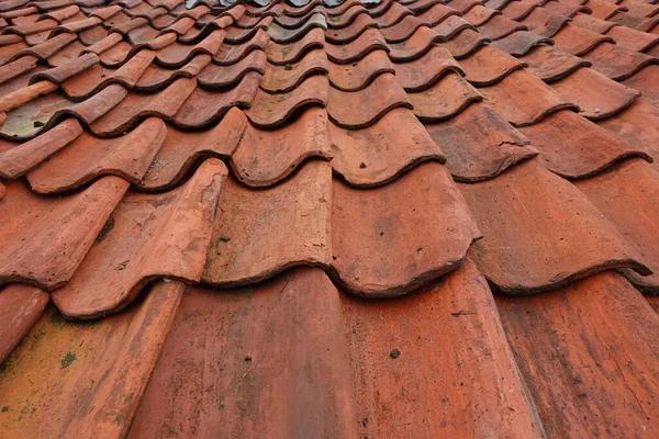 Why Experience Matters When Choosing a Roof Replacement Contractor