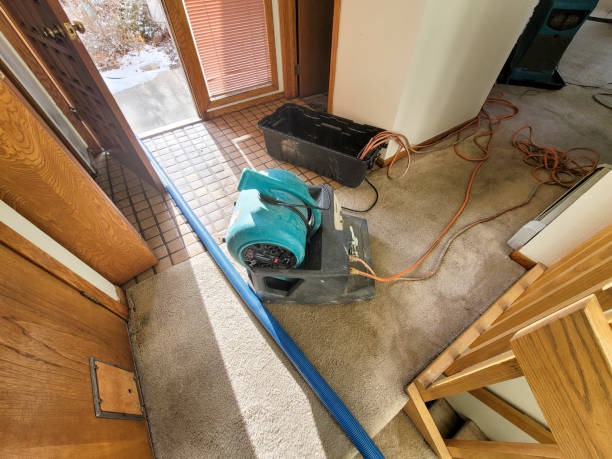 Trusted Water Damage Restoration Services Near Me Call Today
