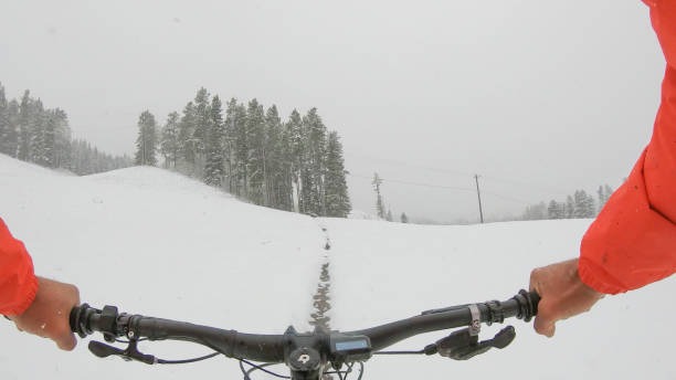 Discover How One Stop Ski Cycle Makes Your Steamboat Springs Ski Trip Effortless