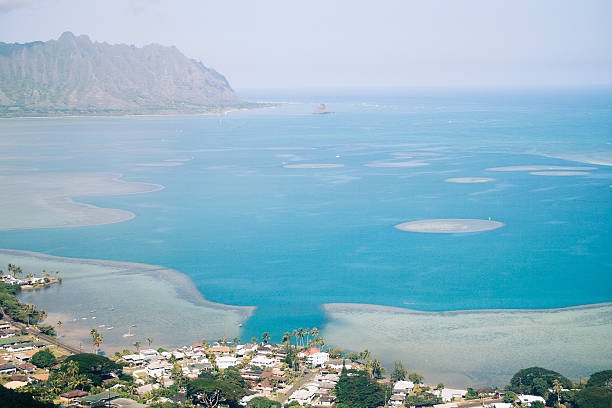 Kaneohe Bay Sandbar Travel Guide for Couples and Families